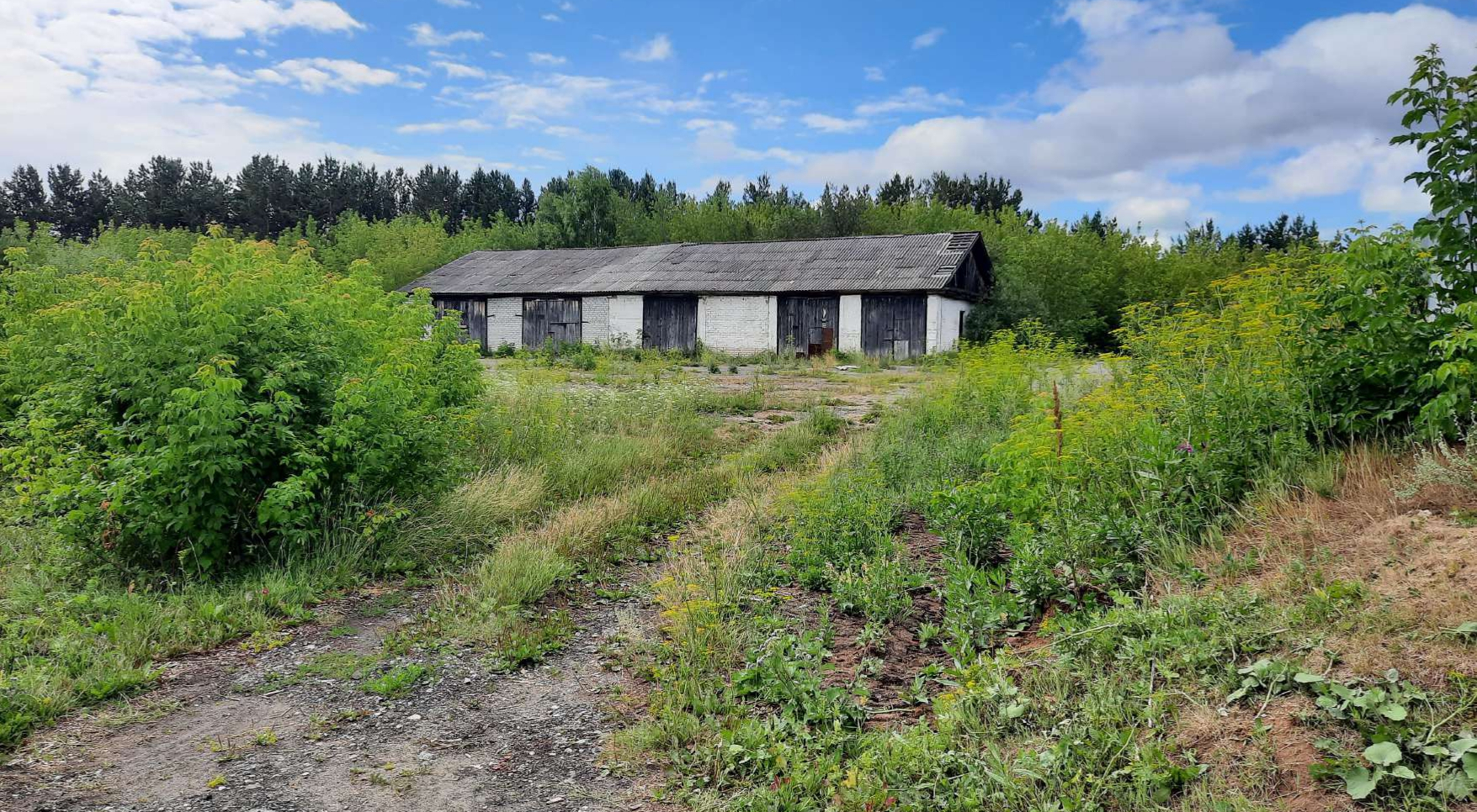 Купить  участок