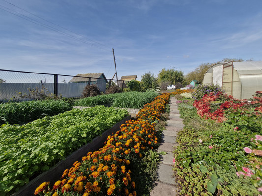 Купить  дом